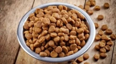 Prečo a ako sa hýbať suché potraviny pre mačky a mačiatka